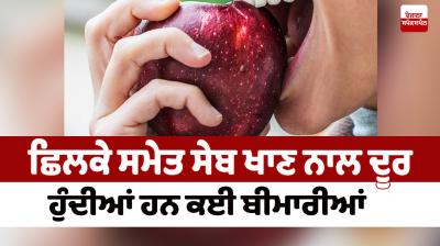 Many diseases are removed by eating apples with the peel