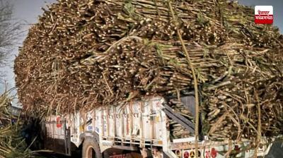 Khanna Accident News in punjabi 