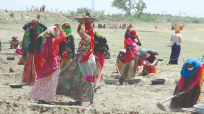  Scissors on rural employment, MNREGA allocation reduced by 30 percent in the budget