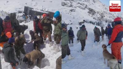 Chamoli avalanche: Death toll rises to 7, search continues for missing labourer