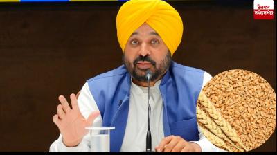 The Punjab government will provide free wheat seeds to flood-affected farmers
