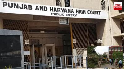 High Court orders compensation of Rs 1.5 crore in Carmel Convent School accident case