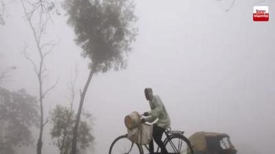 Cold grips entire Punjab, lowest temperature recorded in Hoshiarpur on Saturday