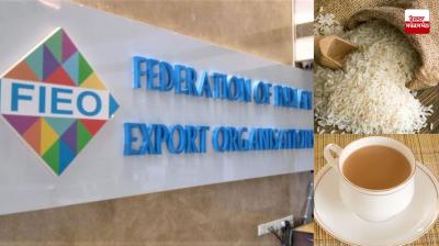 Trump's 25% duty plan on Iran unlikely to impact India: FIEO