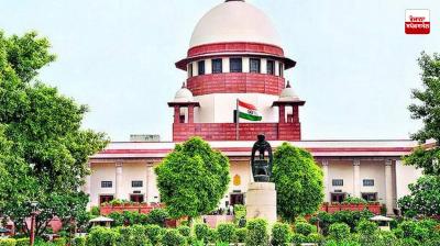 Supreme Court reserves verdict in stray dog ​​case after hearing all states