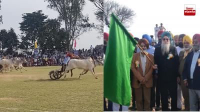 Bullock cart racing echoes on the second day of the Kila Raipur Rural Olympics 2026