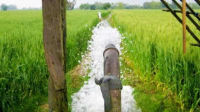 Agriculture Dept Provided Knowledge of Plants  