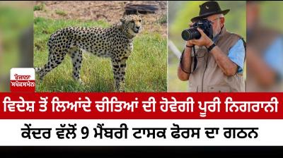 9-member task force to monitor cheetahs in MP’s Kuno National park