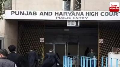 Punjab and Haryana High Court News