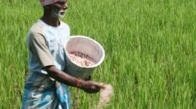 use of fertilizers more than required to reduce the paddy crop : Dr. Amrik Singh