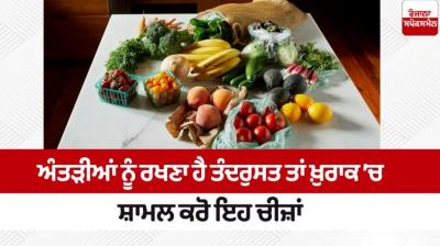 To keep the intestines healthy, include these things in the diet