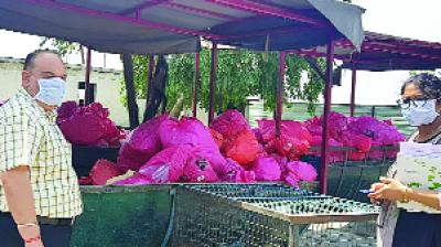 SDO Kamaldeep Kaur Investigation 