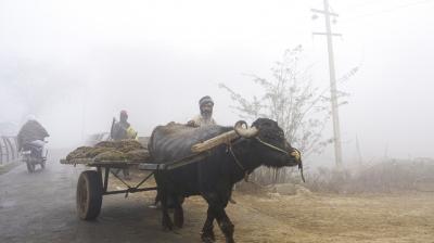 Punjab Weather Update