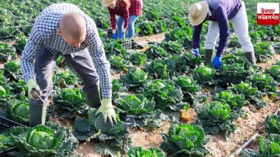 State-level innovation is bringing about major changes in agricultural operations: Review