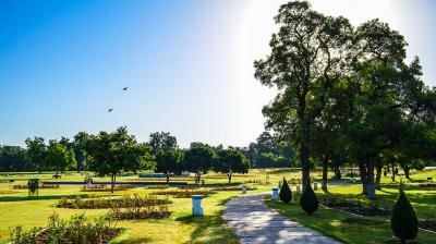 Chandigarh Weather News