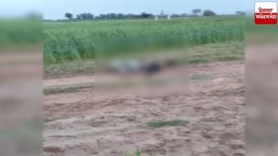 BSF killed Pakistani infiltrators Pathankot News