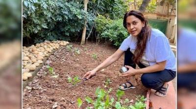 Juhi Chawla Takes To Her 'new Work' Amid Lockdown
