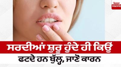 Why do lips crack as soon as winter starts Health News in punjabi 