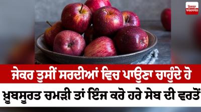 Use of apples for Health News in punjabi 