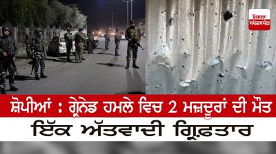 Shopian: 2 laborers killed in grenade attack 