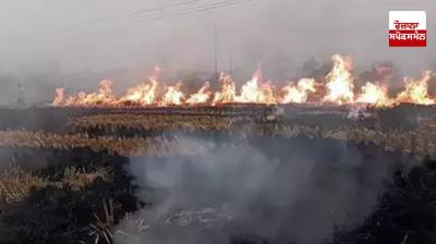 Central government rejects Punjab's demand: Give concessions to farmers from its budget like Haryana