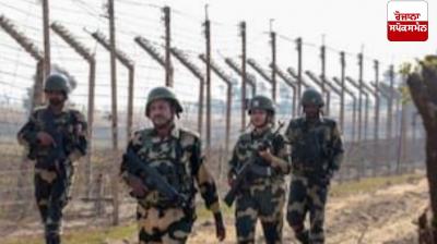 BSF arrests a Pakistani national