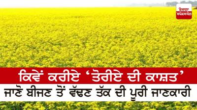 How to do 'Toriya cultivation