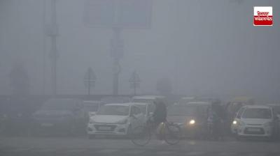Dense fog alert for 3 days in Punjab-Chandigarh: No chance of rain