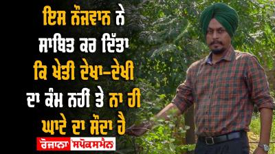 Farming Nursery Plants Farmers