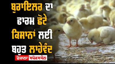 Poultry Farming Farmer Sardar Davinder Singh Punjab Farmer