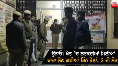 Two girls found dead in field in UP's Unnao