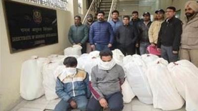  DRI operation, largest ever ganja consignment seized in Punjab in recent years
