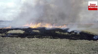 The Center appealed to the states to speed up straw management