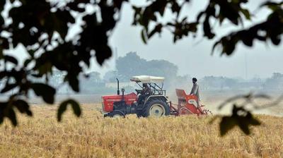 New technique developed by farmer relates to stubble