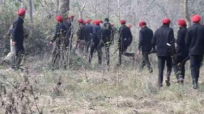 Search operation continue