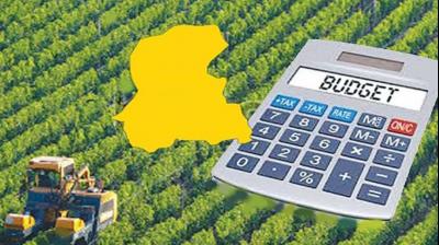 Agriculture Budget 2019