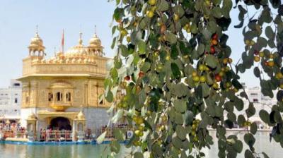 Golden Temple 