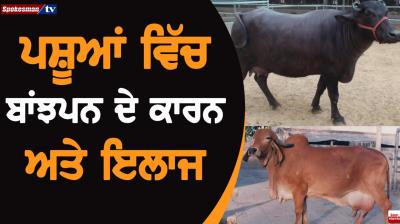 Animals in Infertility