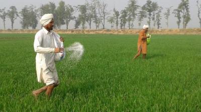 Punjab Kissan