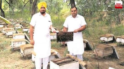 Beekeeping can change the fate of farmers Farming News