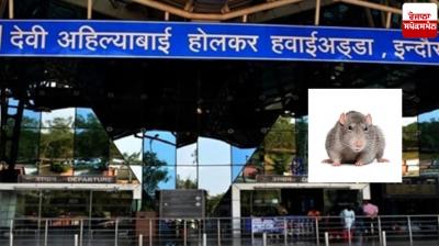 Passenger was bitten by a rat at Indore airport.
