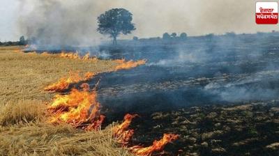 Punjab Stubble burning Cases News in punjabi