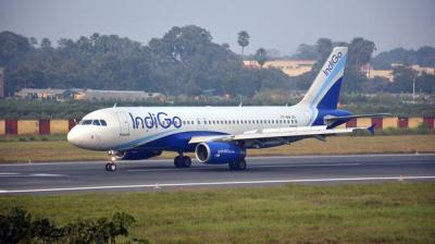 Indigo Airline