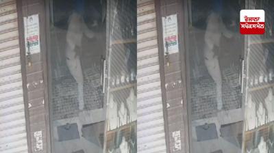 ਘਟਨਾ ਸੀਸੀਟੀਵੀ ’ਚ ਹੋਈ ਕੈਦ 