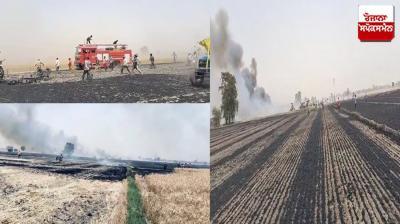Jalalabad wheat fields Fire News in punjabi