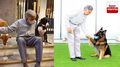 Ratan Tata dogs love News