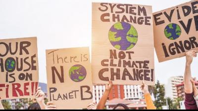 environmental damage  