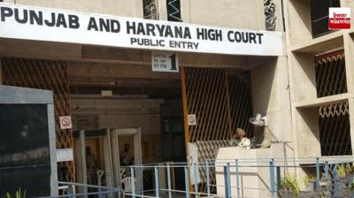 Punjab and haryana High Court 