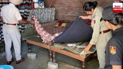 War on Drugs: On the 196th day, Punjab Police raided 383 places; 99 drug smugglers arrested