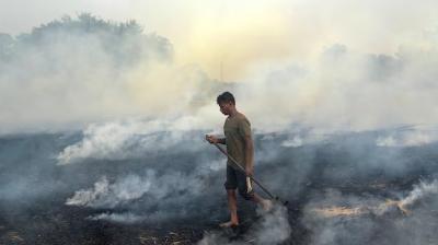  Farmers who burn stubble will now have to pay compensation, notification issued